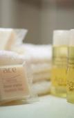 Туры в отель Ace Hotel Salon de Provence Туры в отель Ace Hotel Salon de Provence