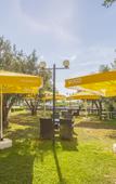 Туры в отель Hotel Zeytin Bahcesi Туры в отель Hotel Zeytin Bahcesi