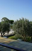 Туры в отель Hotel Zeytin Bahcesi Туры в отель Hotel Zeytin Bahcesi
