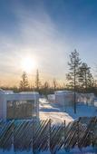 Туры в отель Northern Lights Ranch Туры в отель Northern Lights Ranch