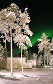 Туры в отель Northern Lights Ranch Туры в отель Northern Lights Ranch