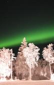 Туры в отель Northern Lights Ranch Туры в отель Northern Lights Ranch