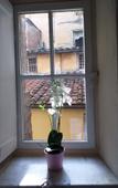 Туры в отель Lucca Charm Туры в отель Lucca Charm