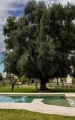 Туры в отель Vieja Posada Hotel Historico Туры в отель Vieja Posada Hotel Historico