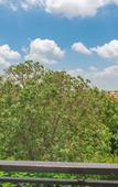 Туры в отель Anh Dao Hotel Туры в отель Anh Dao Hotel