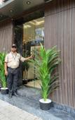 Туры в отель Hotel Ozone Inn Туры в отель Hotel Ozone Inn