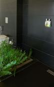 Туры в отель Mountain Shadows Resort Wayanad Туры в отель Mountain Shadows Resort Wayanad