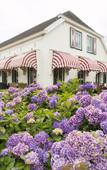 Туры в отель Brasserie Restaurant Hotel Eeserhof Туры в отель Brasserie Restaurant Hotel Eeserhof