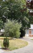 Туры в отель Chambres d'Hotes Les Clefs du Bonheur Туры в отель Chambres d'Hotes Les Clefs du Bonheur