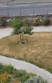 Туры в отель Chambres d'Hotes Les Clefs du Bonheur Туры в отель Chambres d'Hotes Les Clefs du Bonheur