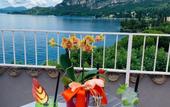 Туры в отель Hotel Conca D'Oro Туры в отель Hotel Conca D'Oro