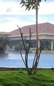 Туры в отель Hotel Mayura Presidency Belagavi Туры в отель Hotel Mayura Presidency Belagavi