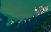 Туры в отель Indochine Lan Ha Bay Туры в отель Indochine Lan Ha Bay