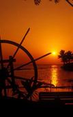 Туры в отель Kumarakom Lake Resort Туры в отель Kumarakom Lake Resort