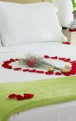 Туры в отель Hotel Isla Capri Туры в отель Hotel Isla Capri