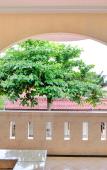 Туры в отель Hotel O otel Graha Prima Туры в отель Hotel O otel Graha Prima