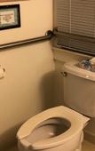Туры в отель Surf City Hotel Туры в отель Surf City Hotel