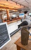 Туры в отель Surf City Hotel Туры в отель Surf City Hotel