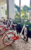 Туры в отель Beachwalk Resort Туры в отель Beachwalk Resort