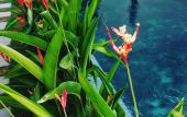 Туры в отель Fairy Garden Villa Туры в отель Fairy Garden Villa