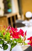 Туры в отель Hotel Restaurant Gastronomique La Huchette Туры в отель Hotel Restaurant Gastronomique La Huchette