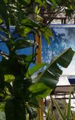 Туры в отель Hotel La Piscine Туры в отель Hotel La Piscine