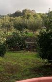 Туры в отель Finca El Pastel Туры в отель Finca El Pastel