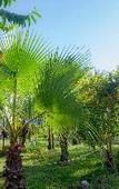 Туры в отель Kijiji Beach Resort Туры в отель Kijiji Beach Resort