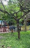 Туры в отель Kijiji Beach Resort Туры в отель Kijiji Beach Resort