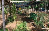 Туры в отель Hue Lotus Homestay Туры в отель Hue Lotus Homestay