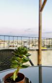 Туры в отель Pashahan Hotel Туры в отель Pashahan Hotel