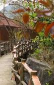 Туры в отель Lotus Field Homestay Туры в отель Lotus Field Homestay