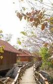 Туры в отель Lotus Field Homestay Туры в отель Lotus Field Homestay