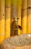 Туры в отель Lotus Field Homestay Туры в отель Lotus Field Homestay