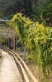 Туры в отель Lotus Field Homestay Туры в отель Lotus Field Homestay