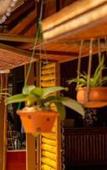 Туры в отель Lotus Field Homestay Туры в отель Lotus Field Homestay