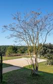 Туры в отель Ibis Styles Cabries Aix-En-Provence Tgv Туры в отель Ibis Styles Cabries Aix-En-Provence Tgv