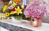 Туры в отель THOI BINH HOTEL Туры в отель THOI BINH HOTEL