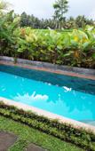 Туры в отель Shivananda Antique Villas by EPS Туры в отель Shivananda Antique Villas by EPS