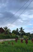 Туры в отель Shivananda Antique Villas by EPS Туры в отель Shivananda Antique Villas by EPS