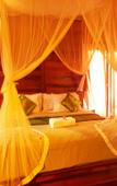 Туры в отель Shivananda Antique Villas by EPS Туры в отель Shivananda Antique Villas by EPS
