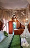 Туры в отель Shivananda Antique Villas by EPS Туры в отель Shivananda Antique Villas by EPS