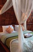 Туры в отель Shivananda Antique Villas by EPS Туры в отель Shivananda Antique Villas by EPS