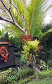 Туры в отель Shivananda Antique Villas by EPS Туры в отель Shivananda Antique Villas by EPS