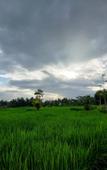Туры в отель Shivananda Antique Villas by EPS Туры в отель Shivananda Antique Villas by EPS