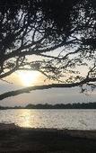 Туры в отель Saffron Lake Yala Туры в отель Saffron Lake Yala