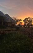 Туры в отель Saffron Lake Yala Туры в отель Saffron Lake Yala
