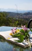 Туры в отель Agripodere il Falco - Tuscany Nature & Relax Туры в отель Agripodere il Falco - Tuscany Nature & Relax