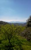 Туры в отель Agripodere il Falco - Tuscany Nature & Relax Туры в отель Agripodere il Falco - Tuscany Nature & Relax