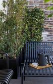 Туры в отель Hotel Filigrane & Spa Туры в отель Hotel Filigrane & Spa